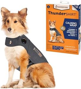 ThunderShi
