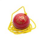 APG Leather Hanging Practice Cricket Ball (Red) Standard Size