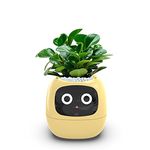 TPHRAVAL Intelligent flower pot, electronic bud, maintenance plant assistant, fun interactive flower pot, indoor green planting monitoring, LCD screen display, cell phone APP connection (Yellow)