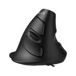 DELUX Wired Ergonomic Vertical Mouse with 4200DPI, Silent Clicks, with Removable Palm Rest for Reduce Wrist Pain, for PC Laptop Computer (M618XU-Black)