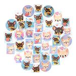 Navy Peony Playful Chihuahua Puppy Sticker Bundle (36-Pack) - Waterproof, Durable, Perfect Fit | Square, Vertical Stickers for Planners | Big, Round Decals for Laptops, Water Bottles