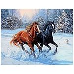 DCIDBEI (40x50cm) DIY 5D Diamond Painting Full Square Drill Kits Running Horse Painting by Diamonds Embroidery Supplies Rhinestone Picture Wall Art Canvas Square Craft for Home Wall Decor