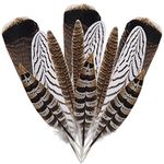 obmwang 12Pcs Natural Pheasant Feathers 10-30cm 4 Style Feathers Mixed Feathers for DIY Craft Wedding Home Party Decorations