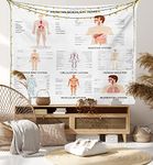 Ambesonne Human Anatomy Tapestry, Complete Chart Different Organ Body Structures Cell Life Illustration, Wide Wall Hanging for Bedroom Living Room Dorm, 60" X 40", Multicolor