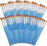 Sherr 48 Pcs Paint Brush Set Acryli