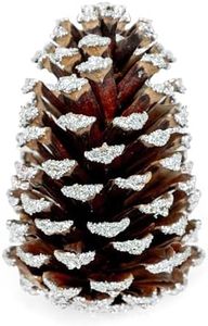 GS Foliage Frosted Pine Cones – Set of 15 Small 3–4" Loblolly Pinecones for Crafts, Christmas & Winter Decor, DIY Ornaments, Vase Fillers, Rustic Wedding Centerpieces & Seasonal Home Styling Events