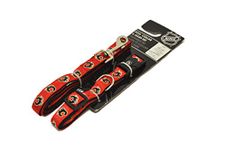 Silver Paw Hunter NHL HAPC0544 Calgary Flames Collar and Leash Set for Pets, Large