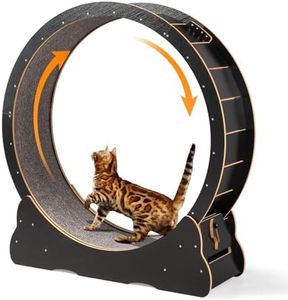 VINGLI Cat