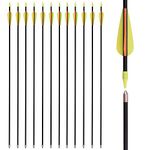 32 Inch Fiberglass Arrows Archery Recurve Bow Practice Target Safety for Beginners Kids Youth Arrows Outdoor (Pack of 12)