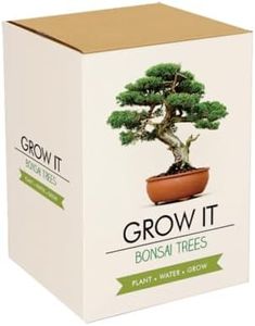 Bonsai Trees