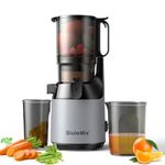 Cold Press Juicer, BioloMix Slow Masticating Juicer Machine with 13CM Extra Large Feed Chute Fit Whole Fruits & Vegetables with Triple Filter, Easy to Clean, BPA Free 250W DC Motor