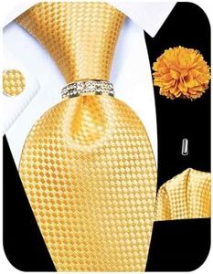 Kerfado 5PCS Tie and Pocket Square Set for Men, Silk Tie and Handkerchief Cufflinks with Tie Ring and Lapel Pin Set, Champagne Tie Set -44, 3.35" in width and 59" in length