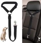 Bingpet Dog Harness For Cars