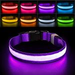 PcEoTllar Light Up Dog Collar Rechargeable, Lighted Dog Collar for Night, Flashing LED Dog Collar Adjustable for Small Medium Large Dog, Waterproof 7 Colors Glowing Dog Collar, Purple(8 Mode)-M