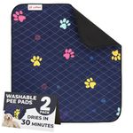 Luftpets Washable Pee Pads for Dogs - 32"x30" 2-Pack. Super Absorbent, Quick Drying & Reusable Puppy Pads. Great for Whelping, Training, Protecting Floors & Keeping Paws Dry