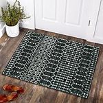 Lahome Moroccan Entry Rug 2x3 Non-S