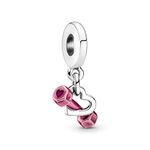 Wedanor Dumbbell Heart Dangle Charm 925 Sterling Silver Pendant, Jewellery Beads Gifts for Women Bracelet Necklace