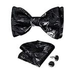 DiBanGu Mens Silk Self Bow Tie, Jac