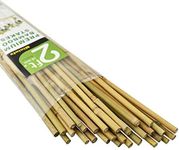 Mininfa Natural Bamboo Stakes 2 Feet, Eco-Friendly Garden Stakes, Plant Stakes Supports Climbing for Tomatoes, Trees, Beans, 30 Pack