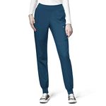 WonderWink W123 Women's 5555 Comfort Waist Jogger Pant, Caribbean Blue, Large Petite