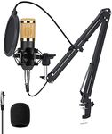 Microphone Bundle Professional Plastic BM800 Condenser Microphone Kit with Stainless Steel Includes Arm Stand Filter Foam Microphone Record Accessories for Studio Recording and