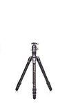 Benro Rhino Carbon Fiber Three Series Tripod/Monopod with VX30 Ballhead, 4 Leg Sections, Twist Leg Locks, Padded Carrying Case (FRHN34CVX30) Max Height 174.5 cm