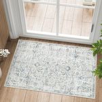 COLLACT Area Rug 2x3 Door Mat Boho Rug Vintage Washable Rug Indoor Floor Thin Rug Chenille Retro Distressed Blue Multi Carpet Floral Print Mat Country Non Slip Rug for Living Room Kitchen Bedroom