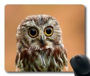 YENDOSTEEN Comfortable Mouse Pad,owl dash cam owl bird,Mouse Pad with Stitched Edges