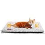 Self Warming Cat Bed Self Heating Cat Dog Mat 29.1 x 18.9 inch Extra Warm Thermal Pet Pad for Indoor Outdoor Pets with Removable Cover Non-Slip Bottom Washable (Light Grey)