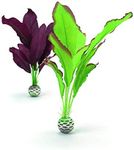 biOrb Silk Plant Set Medium Green & Purple