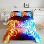 Ice Fire Dragon Bedding Set for Boys Teens Kids Oriental Beast Printed Comforter Set Twin Eastern Comforter Auspicious Animals Fairy Tale Room Decor Quilt Sets 2Pcs (1 Comforter + 1 Pillow Case)