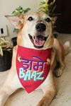 Lana Paws Drame Baaz Adjustable Dog Bandana/Dog Scarf/Dog Gift (Multicolour)