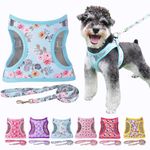 Moonpet Step in Air Dog Harness Leash Set- All Weather Reflective No-Pull Floral Pattern Padded Mesh Vest Harness for Cats Puppy Extra-Small Small Medium Large Dogs - Bell Orchid S