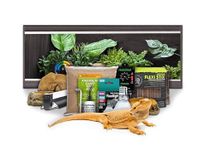 Swell Reptiles Bearded Dragon Juvenile Starter Kit (Grey)