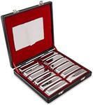 SWAN Harmonica Set 12 Keys 10 Hole 