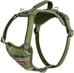 Halti Anatomy Dog Harness with Handle - Padded, Adjustable & Reflective No Pull Dog Harness, 3 Lead Attachment Points including Front Clip, Suitable for Medium Dogs (Size M, Green)