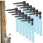 12 Set Maple Syrup Taps with 24in Tubes Maple Syrup Supplies Food Grade Non-Slip Maple Syrup Tapping Kit L-Shaped Tree Taps for Syrup Maple Syrup Supplies