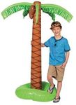 66" Palm Tree