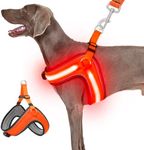 Ayaseen Light Up Dog Harness-Led Dog Harness Rechargeable Lighted Dog Harness for Night Walking,No Escapes,Adjustable Glow Red Light Vest Soft Harness Super Bright(Orange,XL)