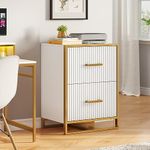 DWVO 28 Deep 2-Drawer File Cabinet, Vertical Filing Cabinet with Drawers, Home Office Storage Furniture, Gold and White