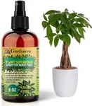 𝐁𝐄𝐒𝐓𝐒𝐄𝐋𝐋𝐄𝐑 Plant Superfood for Money Tree Plants with B1 Vitamin, Glucose and Essential Minerals - Organic Plant Food Fertilizer for Indoor & Outdoor Money Trees Care - 8oz