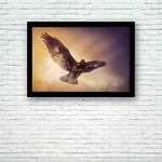 BOXD Eagle Flying in The Sky Painting Poster Black Frame 19 X 13Inch