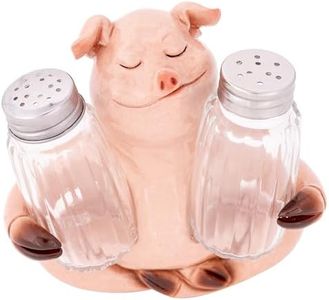 Rustic Salt and Pepper Shaker Set with Holder Caddy – Farmhouse Chicken, Italian Chef & Nautical Seahorse Designs – Glass Spice Shakers for Kitchen Dining Table Décor