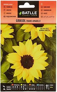 Semillas Batlle Girasol enano amarillo