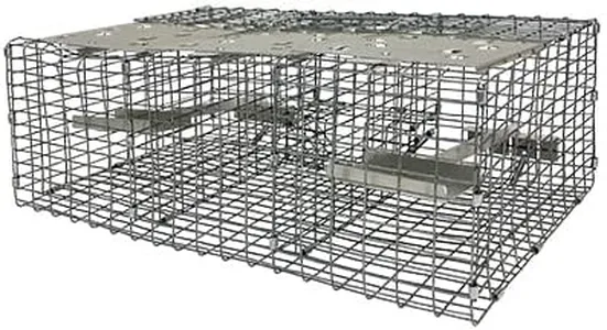 Troyer's Birds' Paradise Wire Sparrow Trap