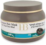 Treatment Hair Mask with Dead Sea M