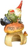 Design Toscano QM20860 Garden Gnome Statue - Garden Gnome Frog House - Toad House - Fairy Garden - Gnome Village