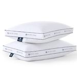 Pacific Coast Gusseted Pillows, Goose Feather and Down Firm Pillows, Luxury Hotel Collection Bed Pillows for Sleeping, Supportive Gusseted Dsign for Side and Back Sleepers (Queen (Pack of 2))