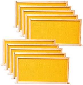 10 Beehive