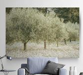 Paintograph Olive TreesModern Landscape Picture Wall Decorations Canvas Prints for Home Office (AZV-WC17-IHLANDSCAPE216-R)